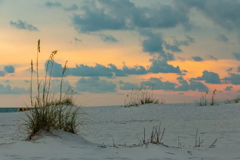 Golden-hour dunes and sea oats at Grayton Beach State Park along 30A